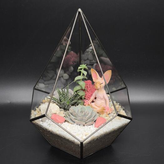 Флораририум с суккулентами и с кошкой Сфинкс