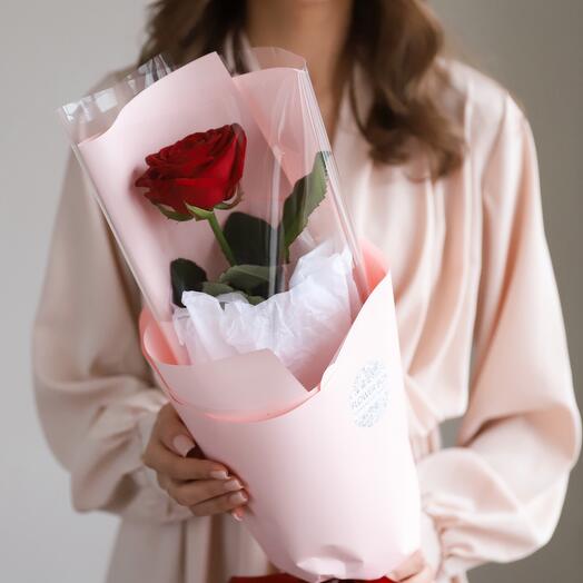 Rosa roja en decoración beige