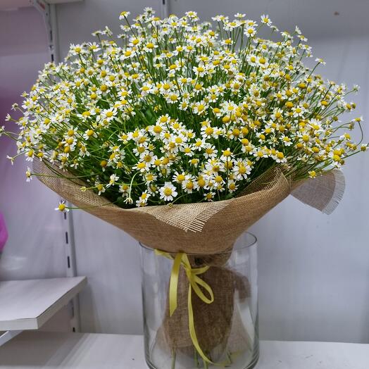 Букет из ромашек