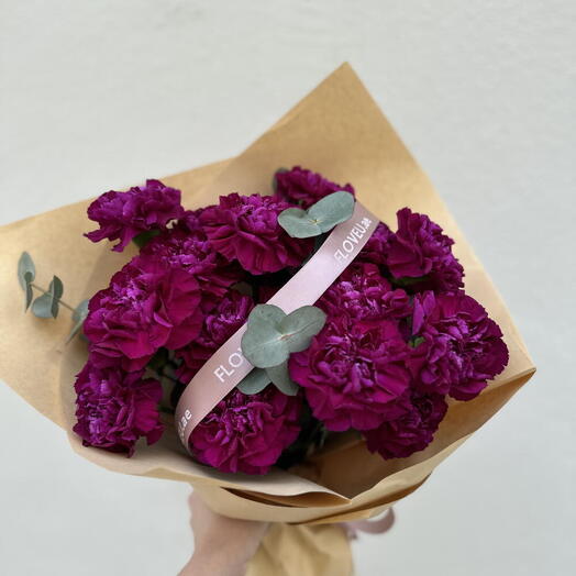 20 violet carnations