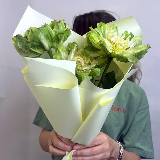 Exotic flowers, Green Veggie roses, 3 pcs