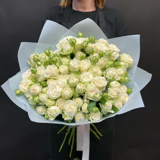 Auge de arbustos de rosas peonías