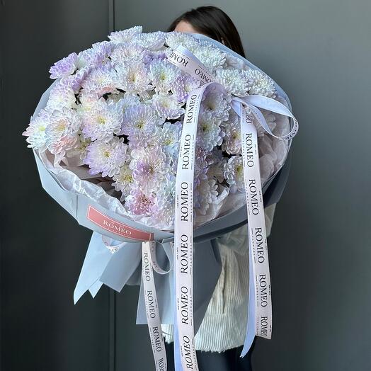 Радужная Хризантема