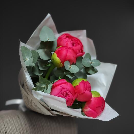 Пионы. 5 коралловых пионов с эвкалиптом