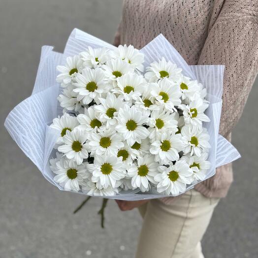 Букет из 5 белых хризантем Бакарди