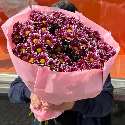 Chrysanthemums