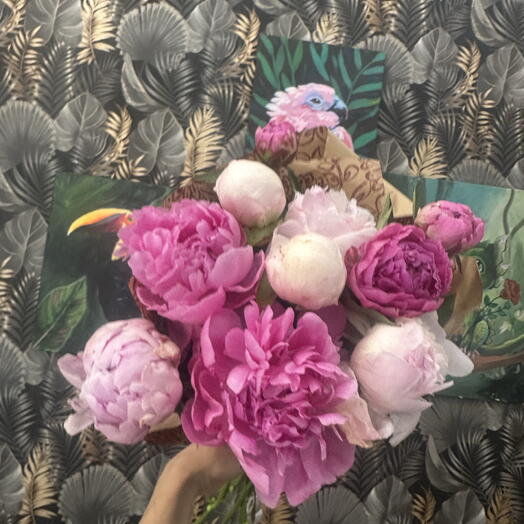 10 peonias