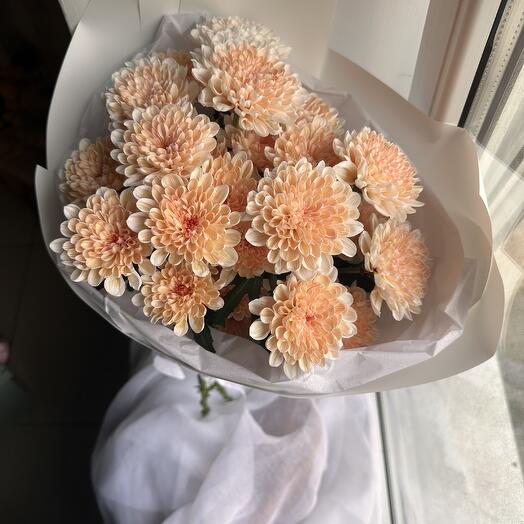 Персиковые хризантемы