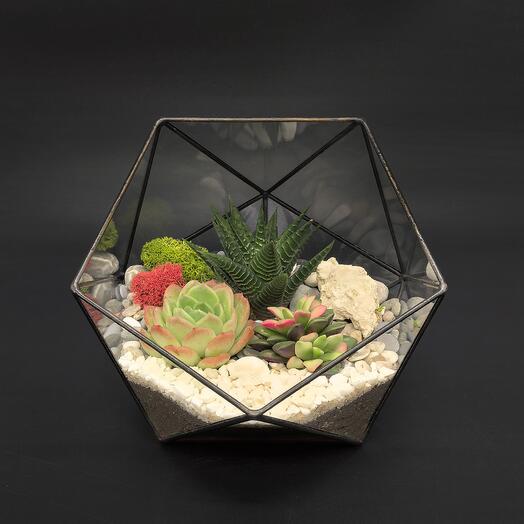 Флорариум с суккулентами "Теплый день" на 8 марта