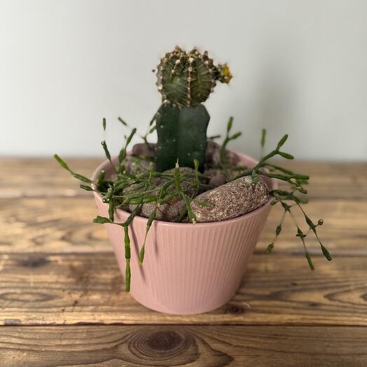 "В розовом кашпо"