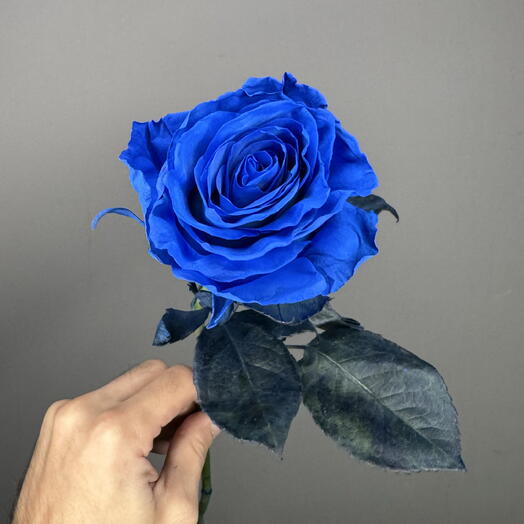 Синие розы 💙