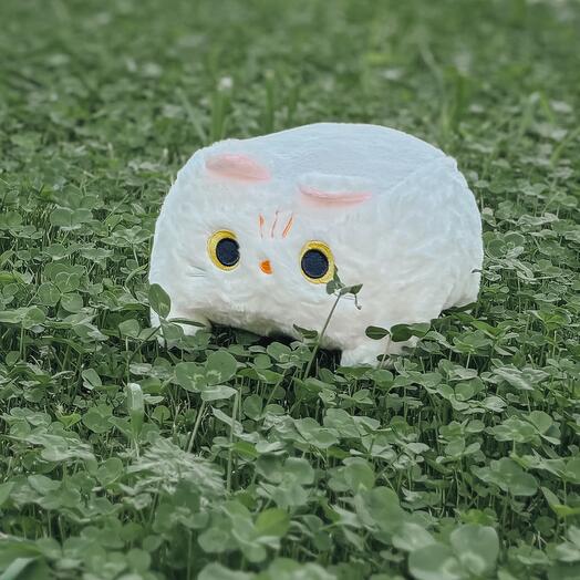 Кото-куб белый