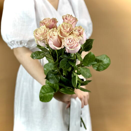 Розовая роза Пинк Мондиаль Pink Mondial 7 шт