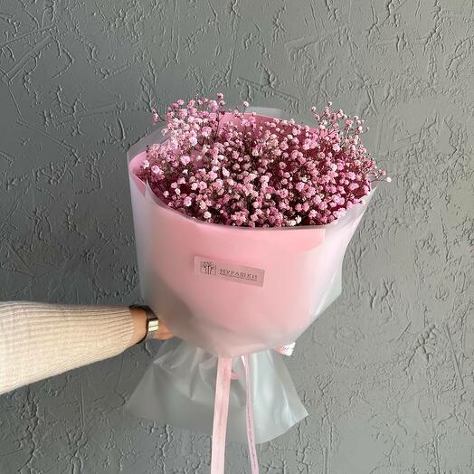 Pink Gypsophila
