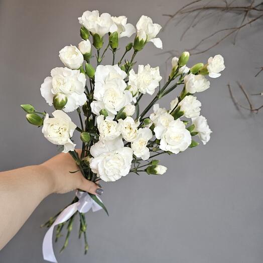 Моно из белых кустовых диантусов