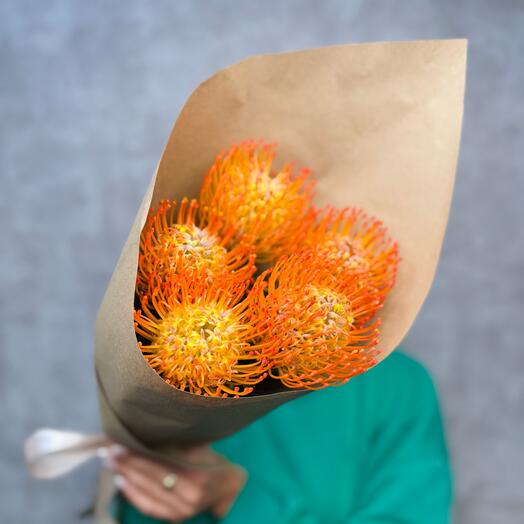 Букет 💐 экзотики Протея яркая оранжевая 🧡🔥 нутан 🧡