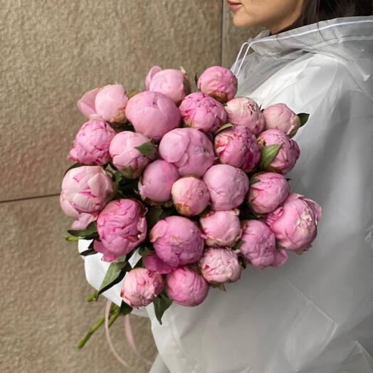 Пион «нежность» 25