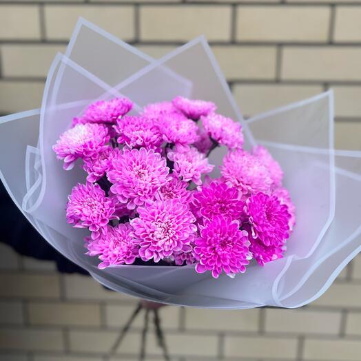 Розовые хризантемы