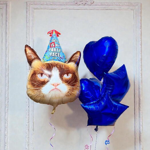 Шары С Днем Рождения «грустный Кот»