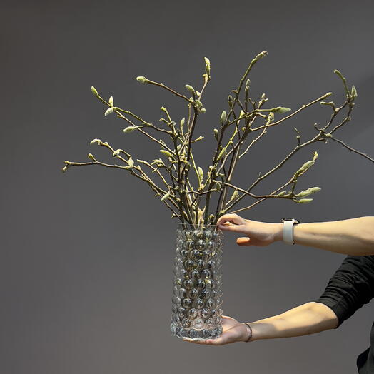 Цветущая Магнолия для интерьера в вазе