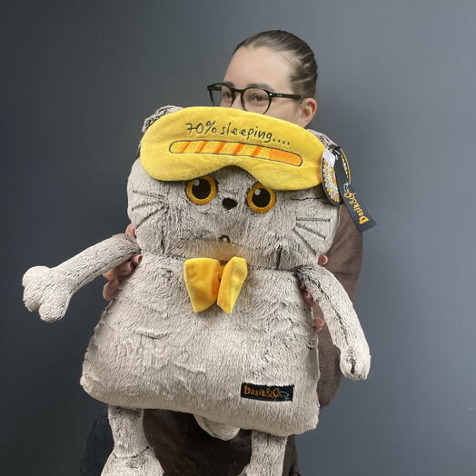 Мягкая игрушка «Кот в маске»