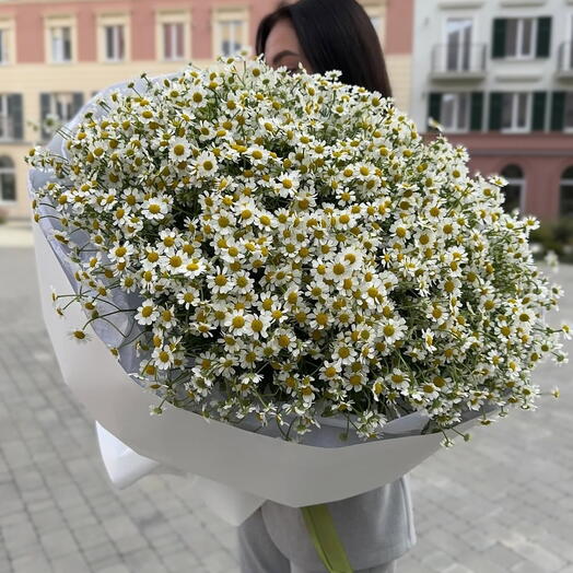 Букет из 101 ромашки
