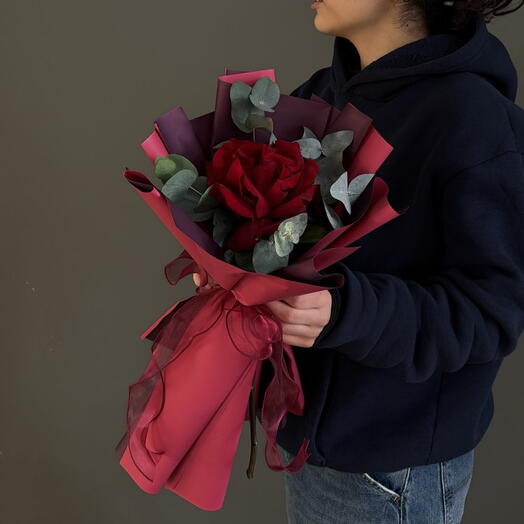 1 Explorer rose