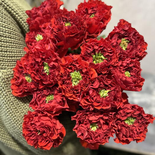 Роза пионовидная