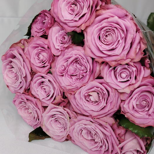 Пачка Фиолетовые розы 15 шт сорт Маритим (Maritim), 50 см