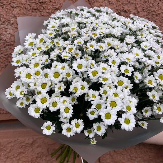 Букет из ромашек или хризантемы сантини на 14 февраля