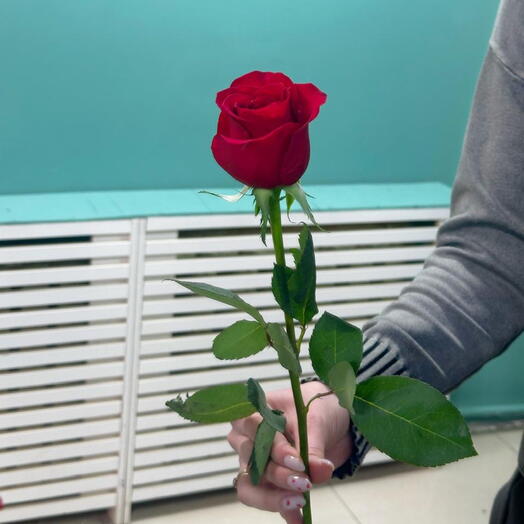 Красная роза 80 см