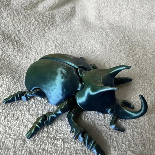 Жук