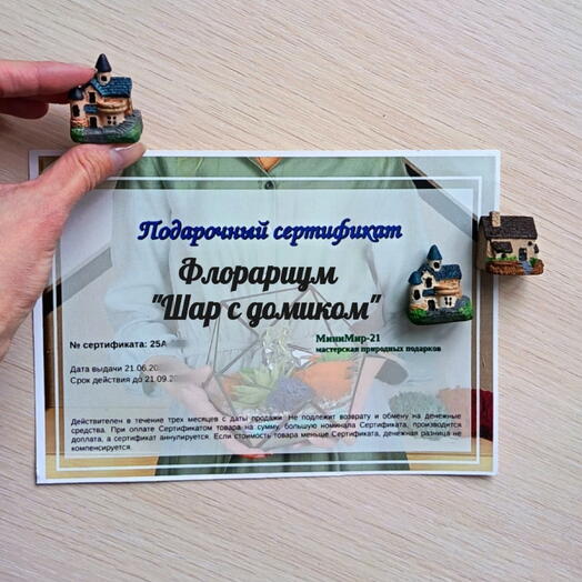 Подарочный сертификат "Шар" с домиком