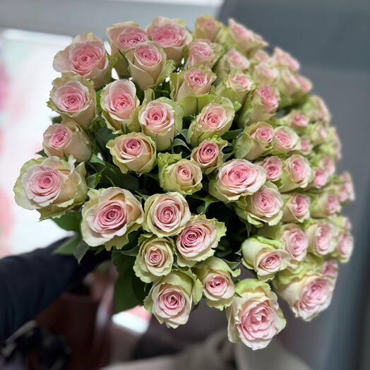 51 роза нежность