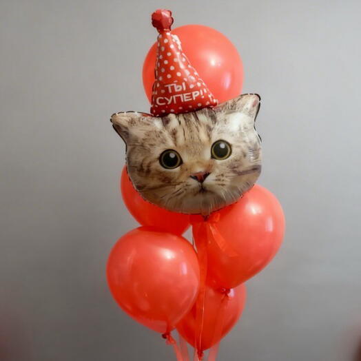 Фонтан из шаров с котиком