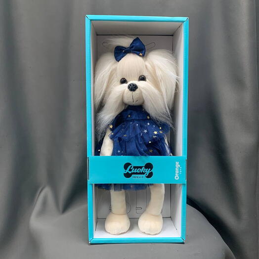 Lucky Mimi: Звездное небо