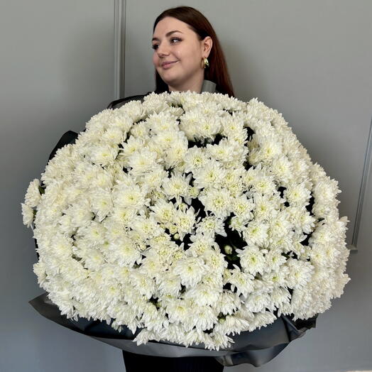 101 белая кустовая хризантема Балтика