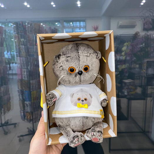 Басик в кофточке