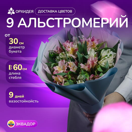 Букет 9 Альстромерий микс
