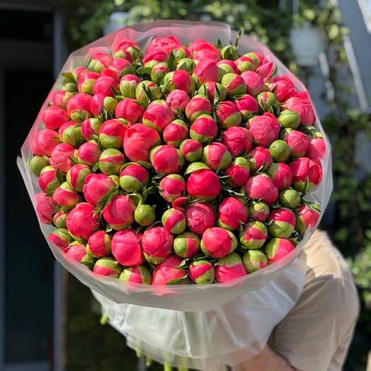 101 Пион Coral 😍