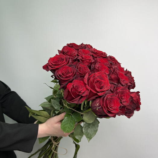 Роза эксплорер /Алое сердце/