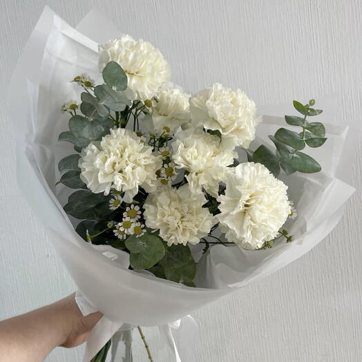 Букет гвоздик Нежное утро