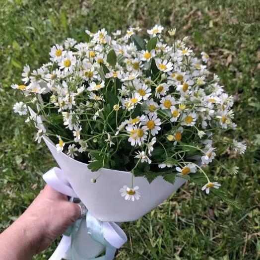 Букет-комплимент с ромашками «Моей любви»