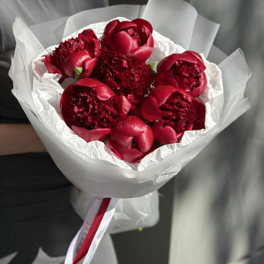 ПИОНЫ🌺 бордовые голландские