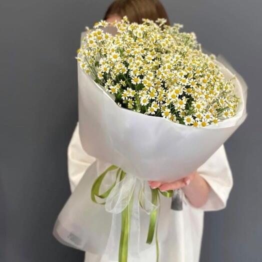 Ромашка