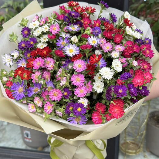 Colorful Aster Bouquet
