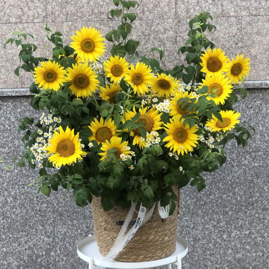 🌻🌻🌻Огромная корзина с подсолнухами и ромашкой