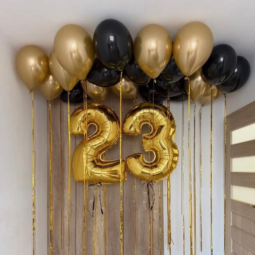 Воздушные шары на 23 года "Посиделки"