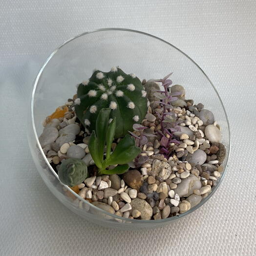 Флорариум мини