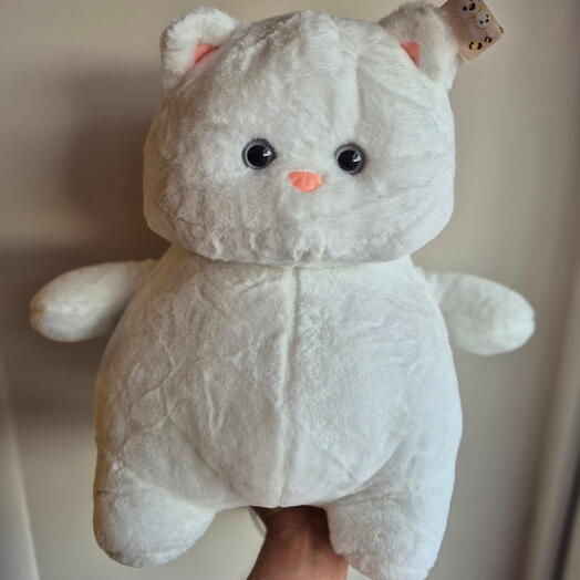 Кот